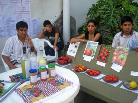 acciones de Agronomía