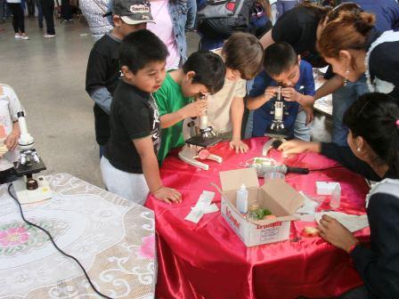 Muestra interactiva 2011